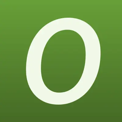 Орион Экспресс, интернет-провайдер, лого-визитка